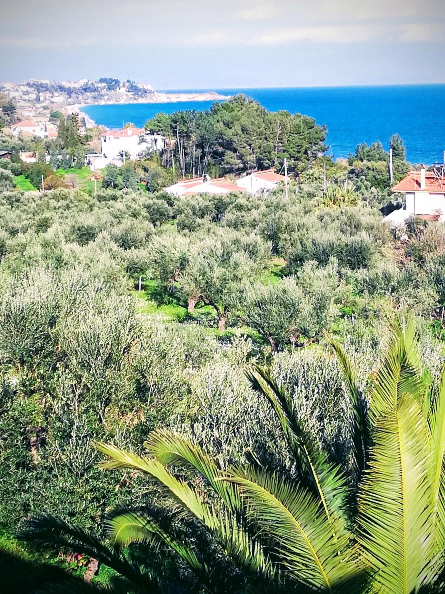 Villa Mariana Koróni Extérieur photo